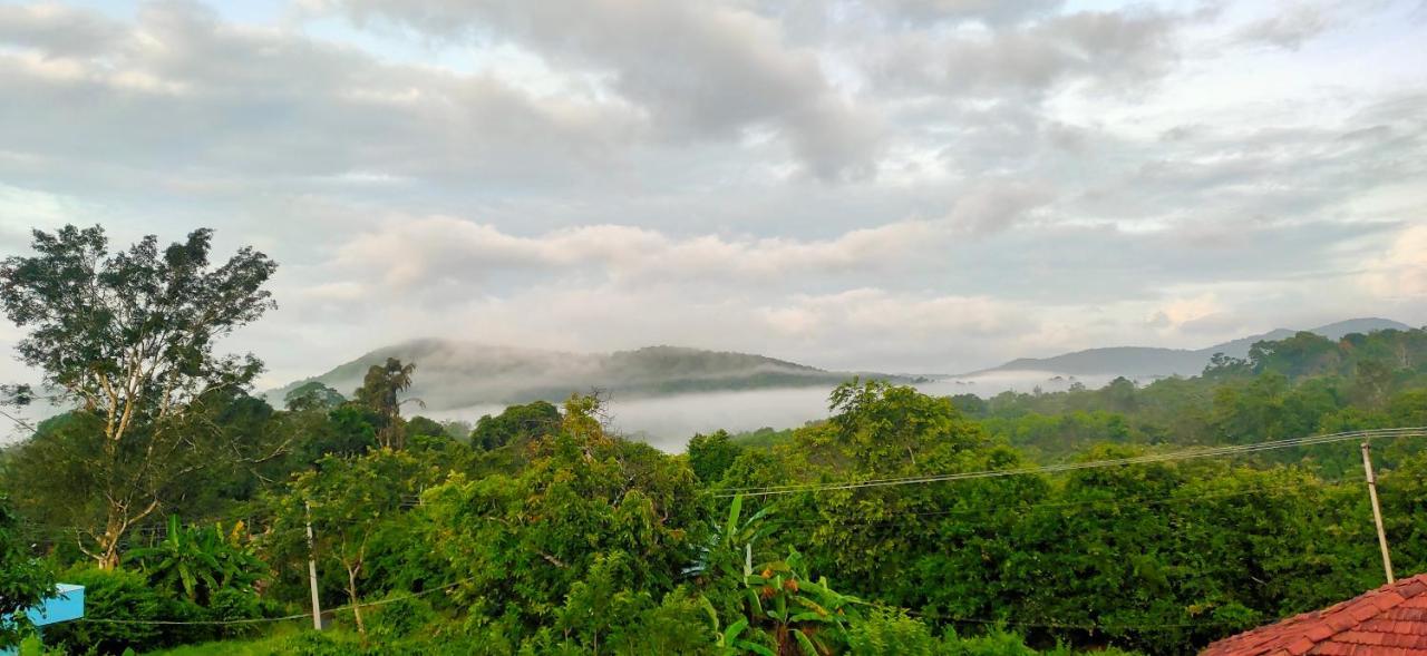 Empra Exotica Apartment Madikeri Bagian luar foto